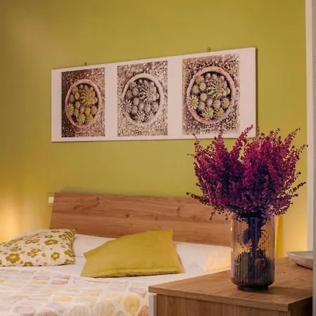 La Casetta Della Nini - Explore And Cinque Terre